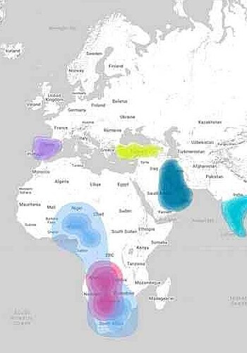 Carte du monde pour déterminer vos origines avec Igenea