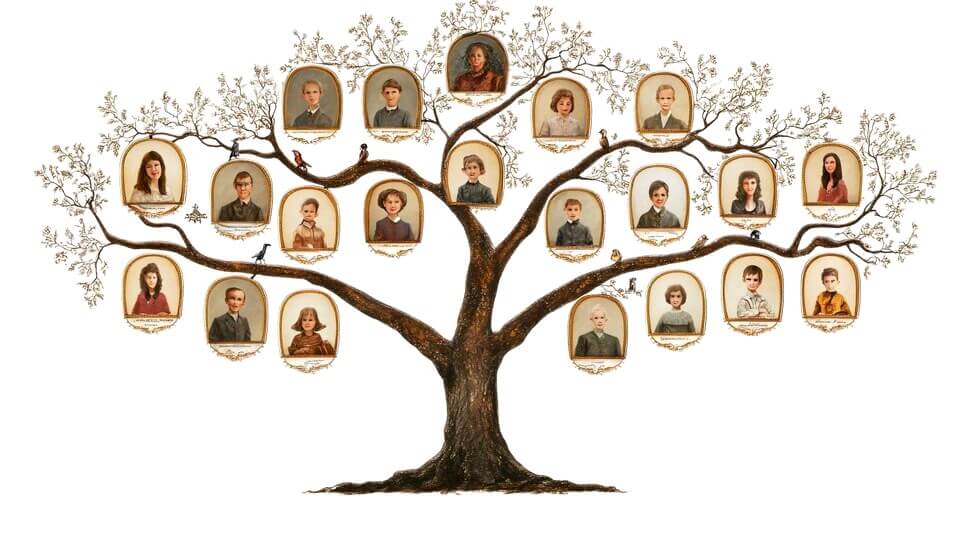 arbre-genealogique
